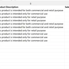 Tabela Excel z kolumnami: Product ID, Product Description i Sales. Tekst w kolumnie Description jest ucięty.