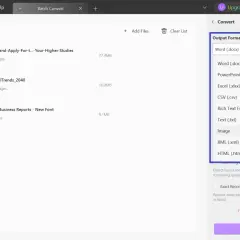 Jak zamienić PDF na Word? Wybierz format wyjściowy "Word (.docx)" w programie do konwersji plików.