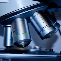 Co można robić po biotechnologii medycznej? Odkryj ciekawe ścieżki kariery