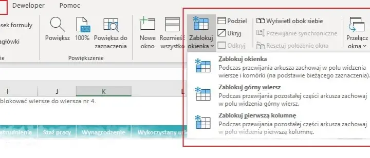 Jak zablokować kolumnę w Excelu, aby nie zgubić ważnych danych