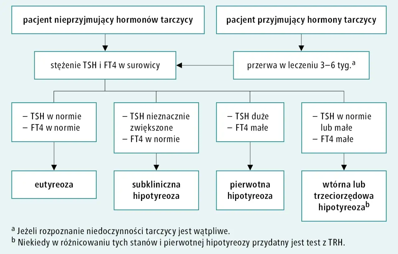 Schemat diagnostyki zaburzeń osi podwzgórze-przysadka-tarczyca. Analiza TSH i FT4 pomaga rozpoznać eutyreozę, subkliniczną lub pierwotną/wtórną hipotoreozę.