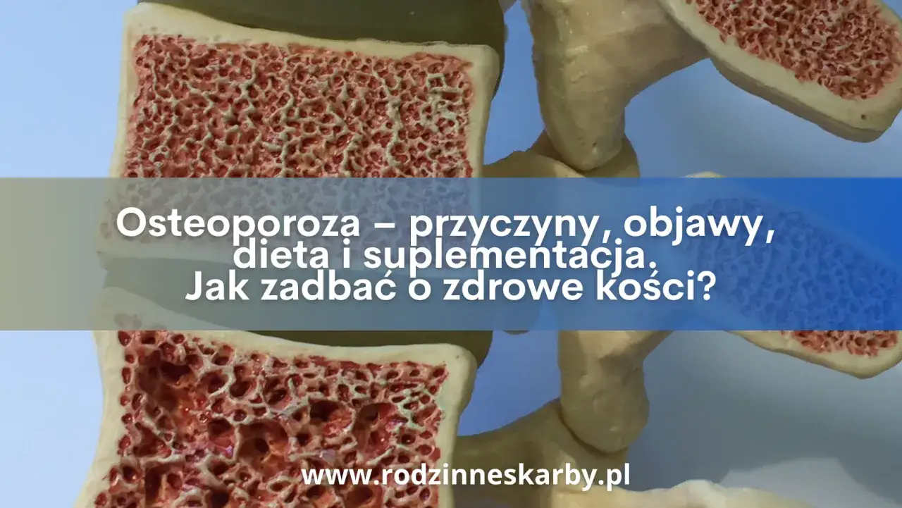 Model układu kostnego z widocznym przekrojem kości, ilustrujący osteoporozę – jedną z najczęstszych chorób układu kostnego.